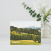 Carte Postale Campagne autrichienne (Debout devant)