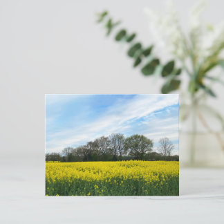 Carte Postale Campagne britannique