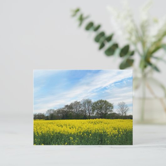 Carte Postale Campagne britannique (Debout devant)