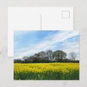 Carte Postale Campagne britannique (Devant / Derrière)