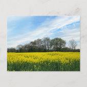 Carte Postale Campagne britannique (Devant)