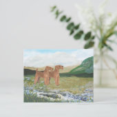Carte Postale Campagne de Connemara (Debout devant)