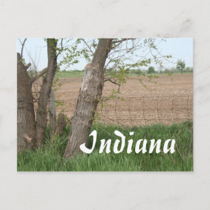Carte Postale Campagne de l'Indiana