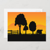 Carte Postale Campagne du coucher de soleil (Devant / Derrière)