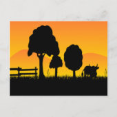 Carte Postale Campagne du coucher de soleil (Devant)