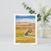 Carte Postale Campagne irlandaise (Debout devant)