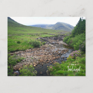 Carte Postale Campagne irlandaise saisissante - Irlande