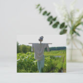 Carte Postale Campagne Jardin Scarecrow Nature (Debout devant)