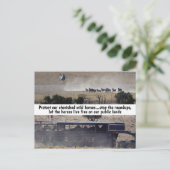 Carte Postale Campagne Sauvez nos chevaux sauvages (Debout devant)