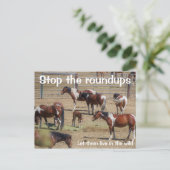 Carte Postale Campagne Sauvez nos chevaux sauvages (Debout devant)