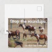 Carte Postale Campagne Sauvez nos chevaux sauvages (Devant / Derrière)