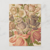 Carte Postale Campanula | George Nicholson (Devant)