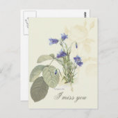 Carte Postale Campanule Bleue Botanique 1 (Devant / Derrière)