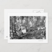 Carte Postale Campers Poing (Devant / Derrière)