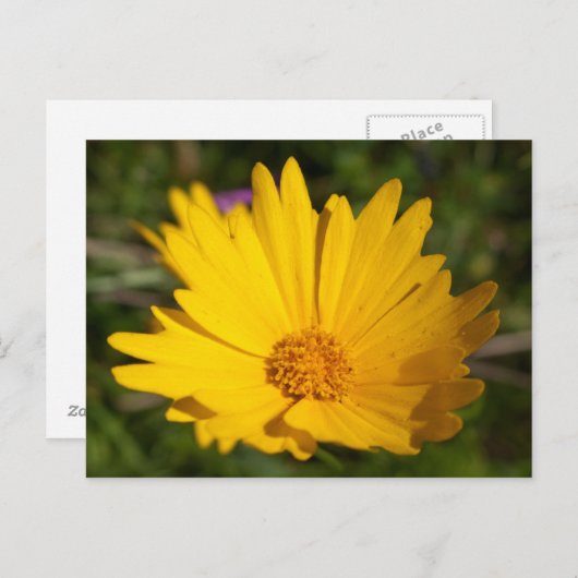 Carte Postale Camphre (Devant / Derrière)