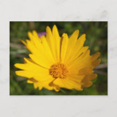 Carte Postale Camphre (Devant)