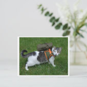 Carte Postale Camping Kitty (Debout devant)