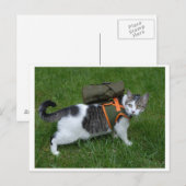 Carte Postale Camping Kitty (Devant / Derrière)