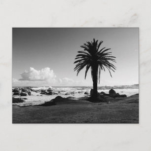 Carte postale "Camps Bay Afrique du Sud" BW JTG