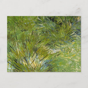 Carte Postale Camps d'herbe par Vincent van Gogh