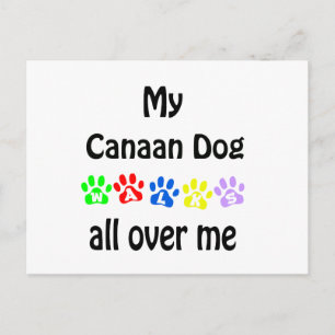 Carte Postale Canaan Dog Walks Design