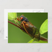 Carte postale Canada (Devant / Derrière)