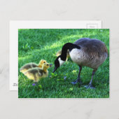 Carte Postale Canada (Devant / Derrière)