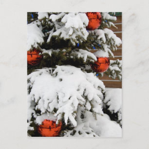 Carte Postale Canada, Alberta, Jasper, Jasper NP. Fairmont 2