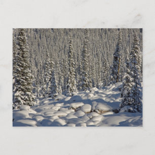 Carte Postale Canada, Alberta, parc national de Jasper.