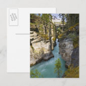 Carte Postale Canada, Alberta, parc national de Jasper, Athabasc (Devant / Derrière)