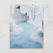 Carte Postale Canada, Alberta, Parc national Jasper.  (Devant)