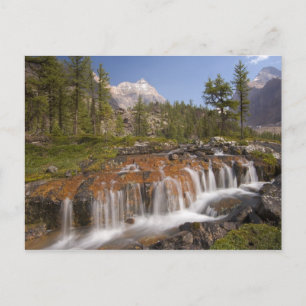 Carte Postale Canada, Colombie-Britannique, Parc national Yoho. 