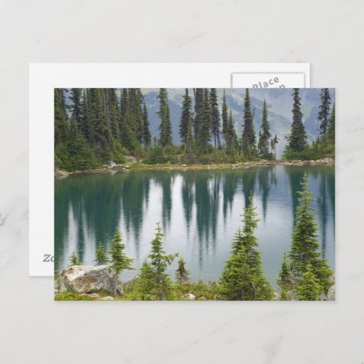 Carte Postale Canada, Colombie-Britannique, Revelstoke National (Devant / Derrière)