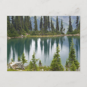 Carte Postale Canada, Colombie-Britannique, Revelstoke National