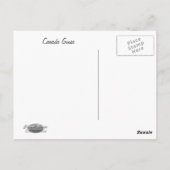 CARTE POSTALE CANADA GOOSE (Dos)