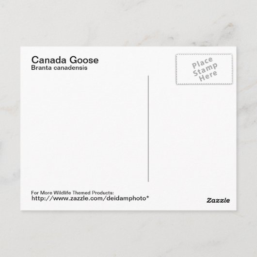 Carte postale Canada Goose (Dos)