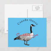 Carte Postale Canada Goose (Devant / Derrière)