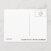 Carte Postale Canada Goose (Dos)