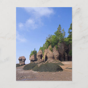 Carte Postale Canada, Nouveau-Brunswick, Hopewell Cape, Baie de