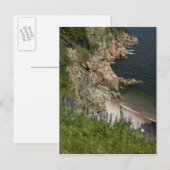 Carte Postale Canada, Nouvelle-Écosse, Île du Cap-Breton, Cabot (Devant / Derrière)