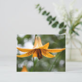 Carte Postale Canadian Lily Flower Photography Personalized (Debout devant)