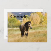 Carte postale canadienne (Devant / Derrière)