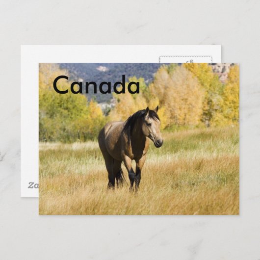 Carte postale canadienne (Devant / Derrière)
