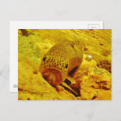 Carte Postale Canal en flux (Devant / Derrière)