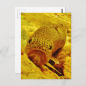 Carte Postale Canal en flux (Devant / Derrière)