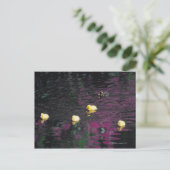 Carte Postale canalisations (Debout devant)