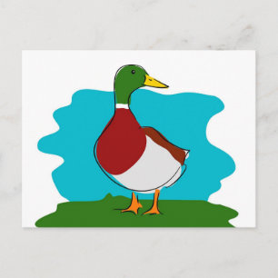 Carte Postale Canard