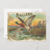 Carte Postale Canard (Devant / Derrière)