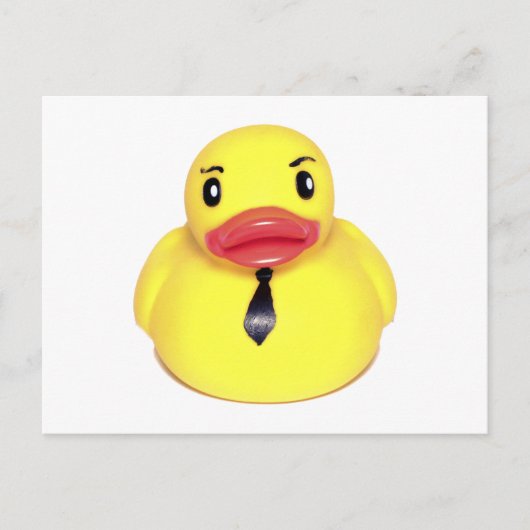 Carte Postale Canard (Devant)