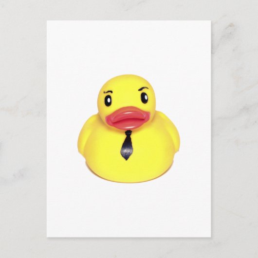 Carte Postale Canard (Devant)